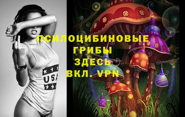 спайс Лагань