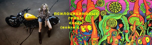 спиды Лабытнанги
