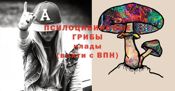 спиды Лабытнанги