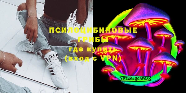 спайс Лагань