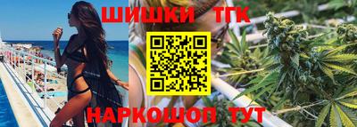 шишки Аргун