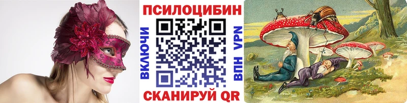 где купить наркоту  Нерюнгри  Псилоцибиновые грибы GOLDEN TEACHER 