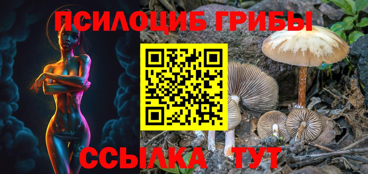 Нерюнгри  Галлюциногенные грибы Magic Shrooms  Вход с VPN 