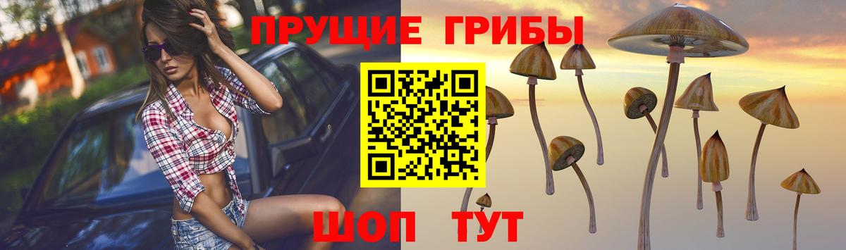 Галлюциногенные грибы мухоморы  Нерюнгри  Псилоцибиновые грибы ЛСД 