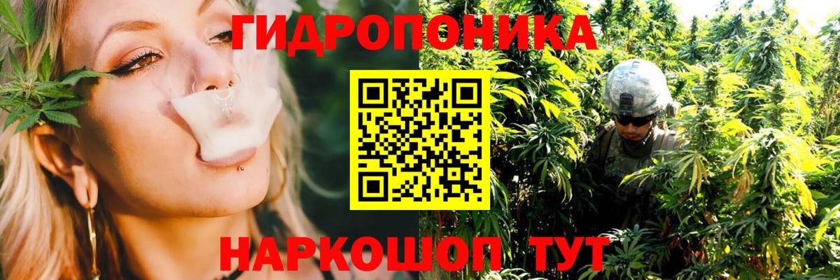 Марихуана план Нерюнгри
