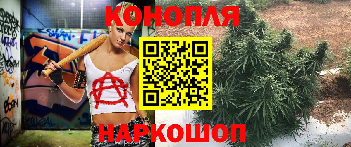 Нерюнгри  МАРИХУАНА сатива  Бошки Шишки план  Бошки Шишки планчик  Вход с VPN 